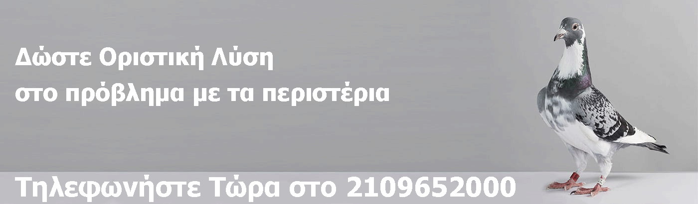 peristeria banner